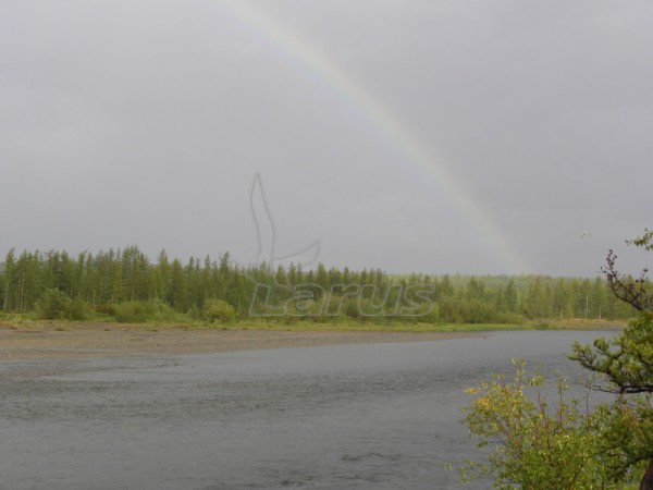 Rosja,Jamalsko-Nieniecki Okręg Autonomiczny, rzeka Lagorta; 2011r.