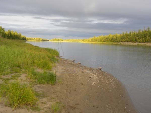 Rosja,Jamalsko-Nieniecki Okręg Autonomiczny, rzeka Lagorta; 2011r.